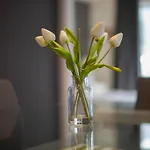 Applewood Suites - Executive 3 Bdrm